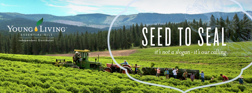 Fields - YL FB Cover
